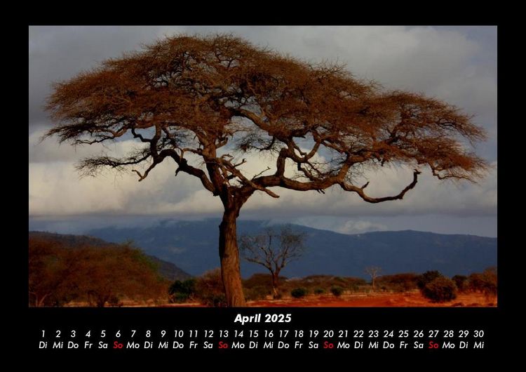 Produktbild: Natur 2025 Fotokalender DIN A3