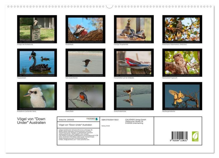 Produktbild: V&ouml;gel von "Down Under" Australien (hochwertiger Premium Wandkalender 2027 DIN A2 quer), Kunstdruck in Hochglanz