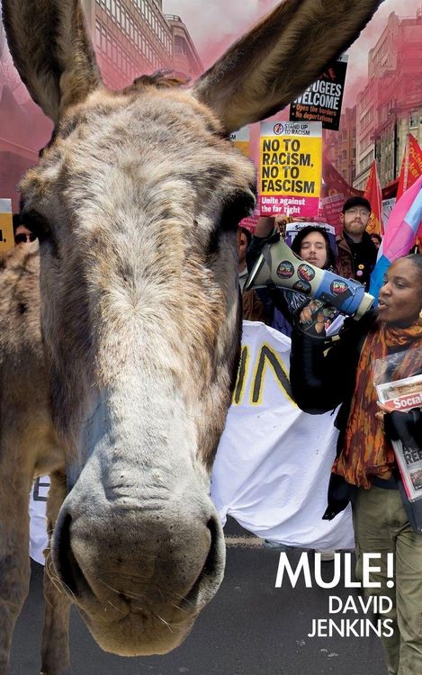 Produktbild: Mule!