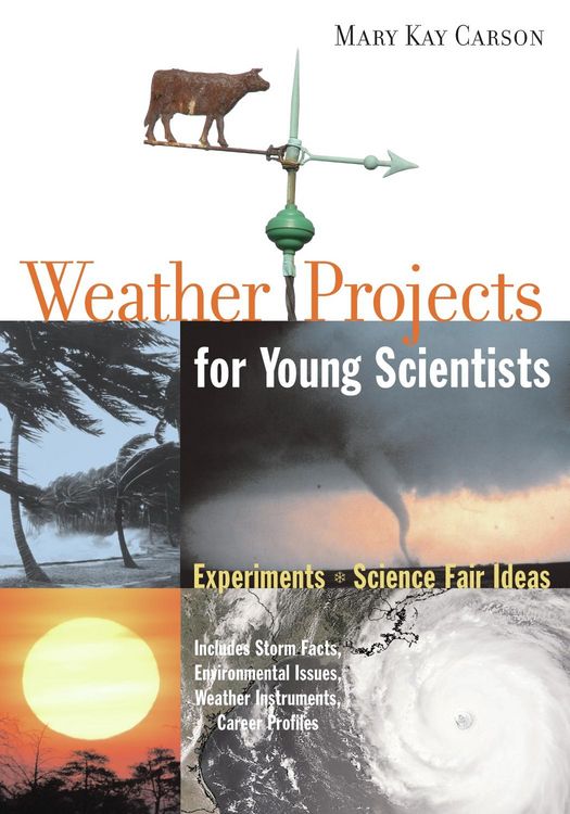 Produktbild: Weather Projects for Young Scientists