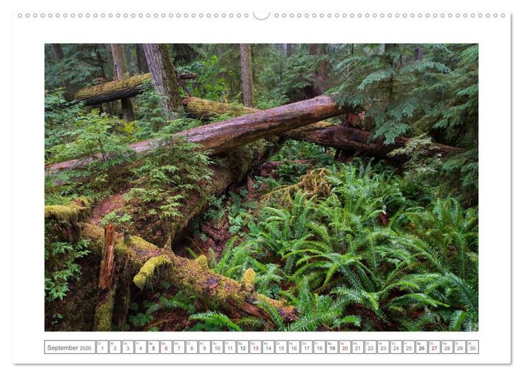 Produktbild: Vancouver Island (Wandkalender 2026 DIN A2 quer), CALVENDO Monatskalender