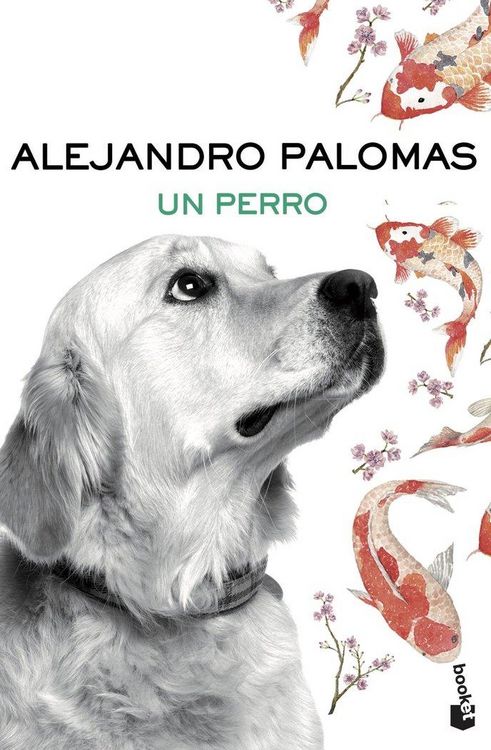 Produktbild: Un perro