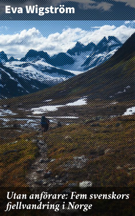 Produktbild: Utan anf&ouml;rare: Fem svenskors fjellvandring i Norge