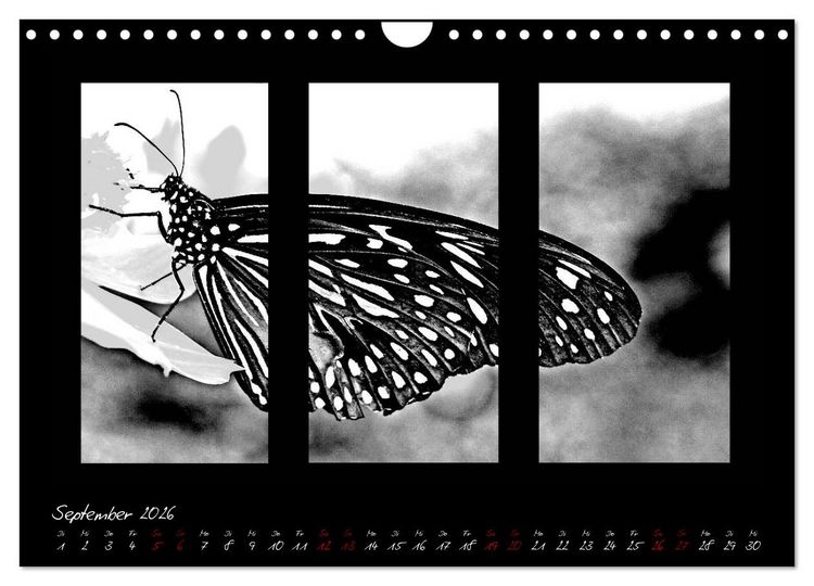 Produktbild: Die Kunst der Natur - Dreifach Stilvoll (Wandkalender 2026 DIN A4 quer), CALVENDO Monatskalender