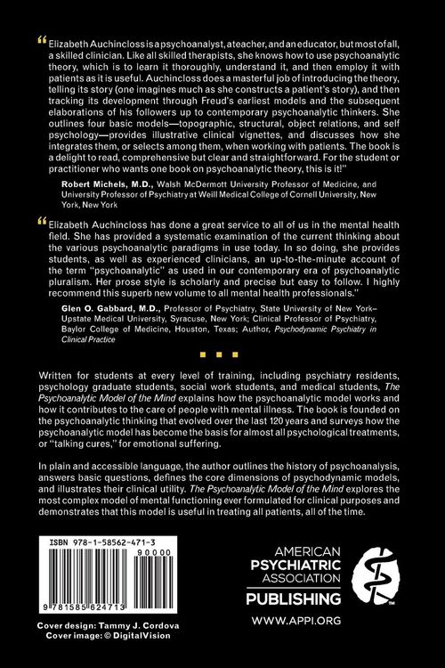 Produktbild: The Psychoanalytic Model of the Mind