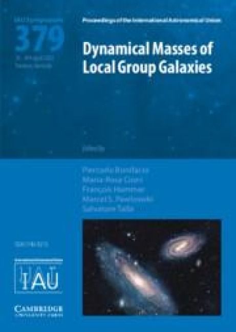 Produktbild: Dynamical Masses of Local Group Galaxies (Iau S379)