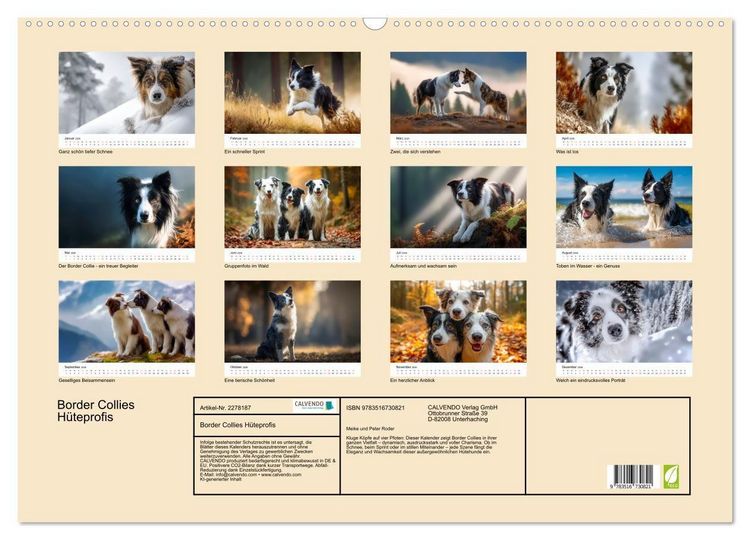 Produktbild: Border Collies H&uuml;teprofis (Wandkalender 2026 DIN A2 quer), CALVENDO Monatskalender