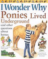 Produktbild: I Wonder Why Ponies Lived Underground