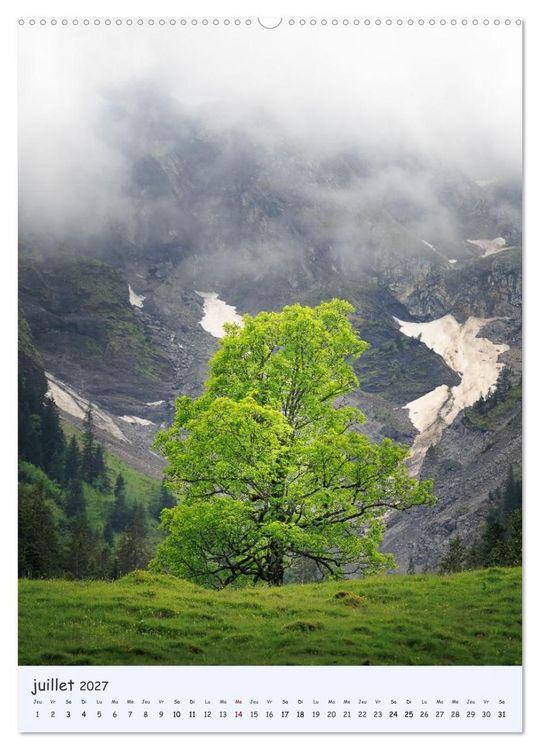 Produktbild: Arbres solitaires (Calendrier mural 2027 DIN A2 horizontal), CALVENDO calendrier mensuel