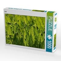 Produktbild: CALVENDO Puzzle Farn 1000 Teile Lege-Gr&ouml;&szlig;e 64 x 48 cm Foto-Puzzle Bild von kattobello