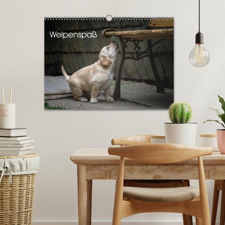 Produktbild: Welpenspa&szlig; (Wandkalender 2026 DIN A3 quer), CALVENDO Monatskalender