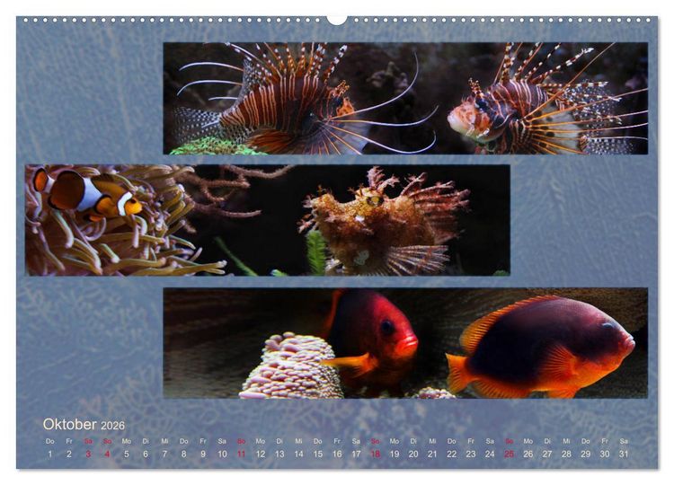Produktbild: K&uuml;stentr&auml;ume im Panoramablick (hochwertiger Premium Wandkalender 2026 DIN A2 quer), Kunstdruck in Hochglanz