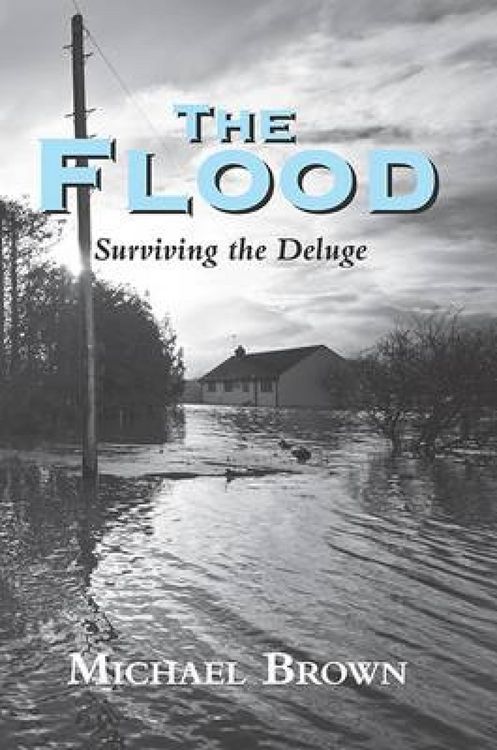 Produktbild: The Flood
