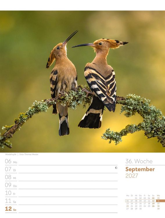 Produktbild: Unser Wald Wochenplaner Kalender 2027