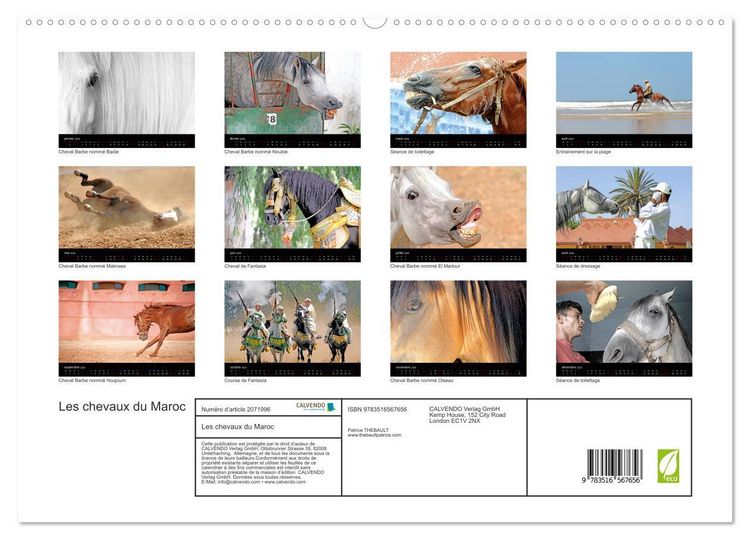Produktbild: Les chevaux du Maroc (Calendrier mural 2026 DIN A2 vertical) calendrier de bureau