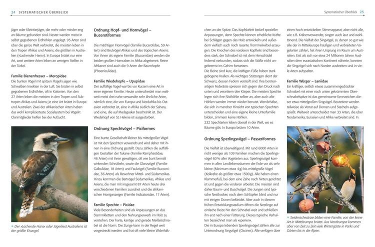 Produktbild: Das BLV Handbuch V&ouml;gel