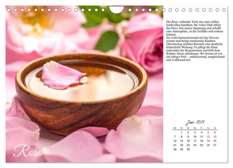 Produktbild: Heilsame Aroma&ouml;le (Wandkalender 2027 DIN A4 quer), CALVENDO Monatskalender