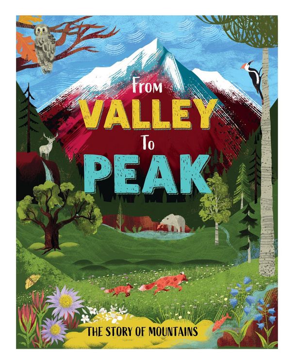 Produktbild: From Valley to Peak: The Story of Mountains