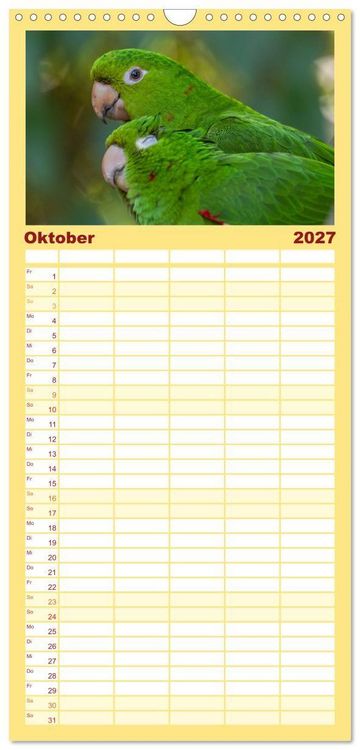 Produktbild: Familienplaner 2027 - Aras und bunte Sittiche: Exotische Papageien-Portr&auml;ts mit 5 Spalten (Wandkalender, 21 x 45 cm) CALVENDO