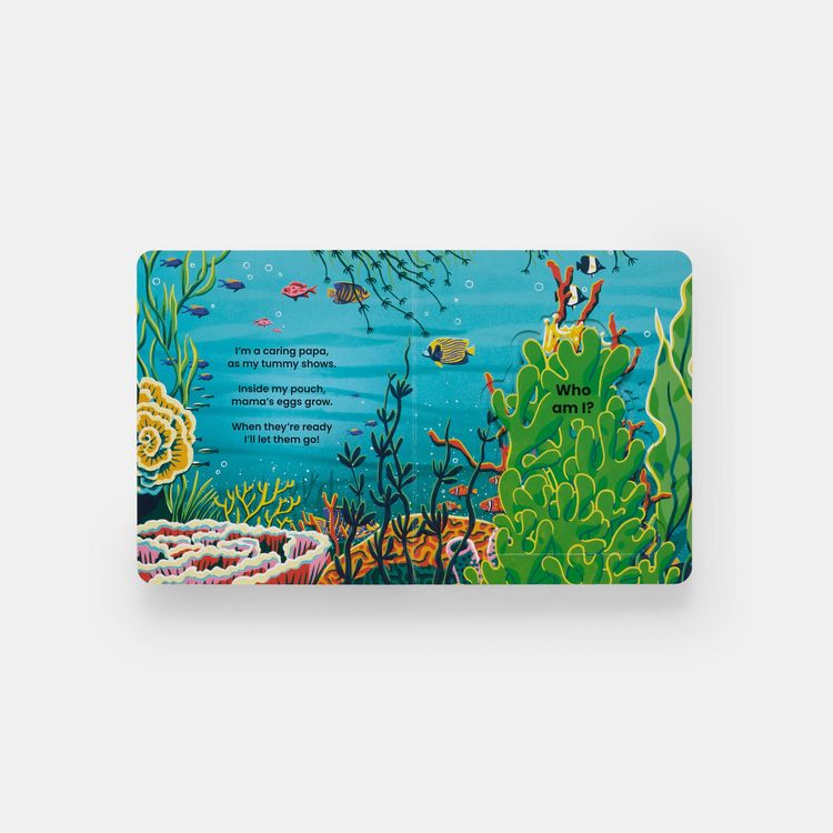 Produktbild: Who's Hiding Under the Sea?