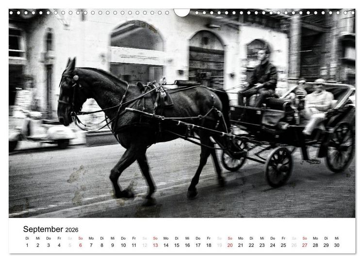 Produktbild: Silberstein portr&auml;tiert Palermo (Wandkalender 2026 DIN A3 quer), CALVENDO Monatskalender