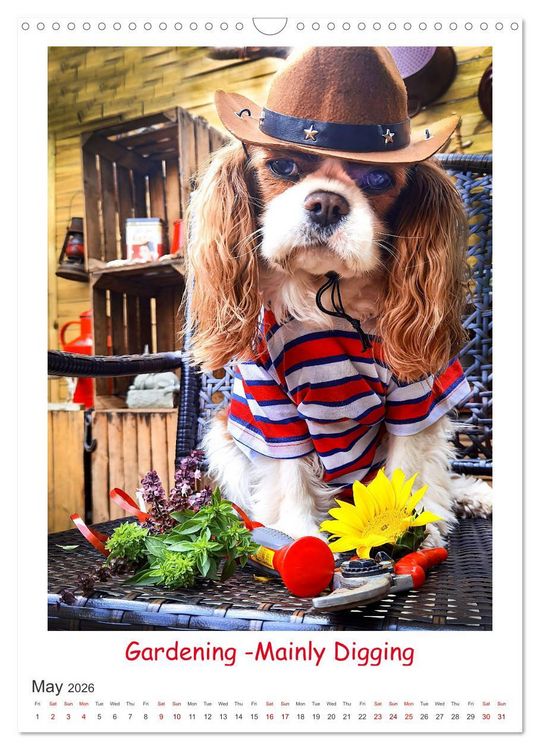 Produktbild: The Adventurous Life of two Daring Cavaliers (Wall Calendar 2026 DIN A3 portrait), CALVENDO 12 Month Wall Calendar