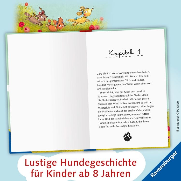 Produktbild: 3 Streuner wittern das Abenteuer