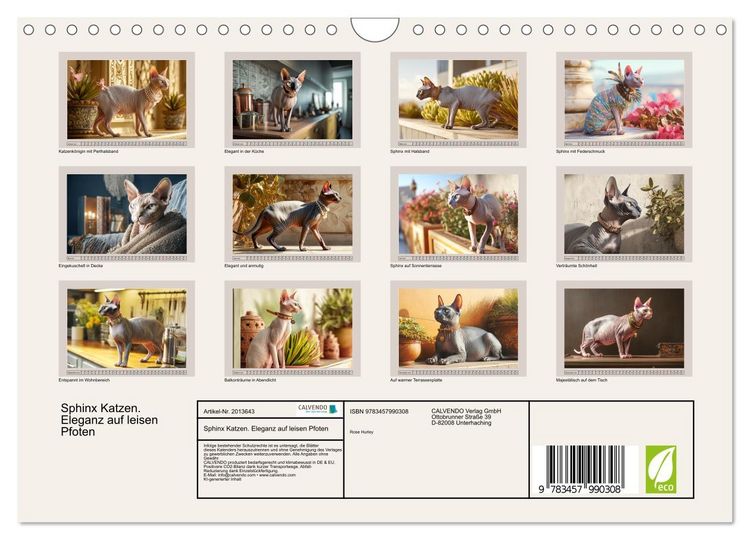 Produktbild: Sphinx Katzen. Eleganz auf leisen Pfoten (Wandkalender 2026 DIN A4 quer), CALVENDO Monatskalender