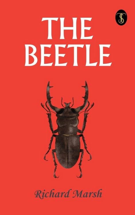 Produktbild: The Beetle