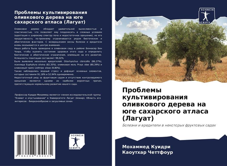 Produktbild: Problemy kul'tiwirowaniq oliwkowogo derewa na &uuml;ge saharskogo atlasa (Laguat)