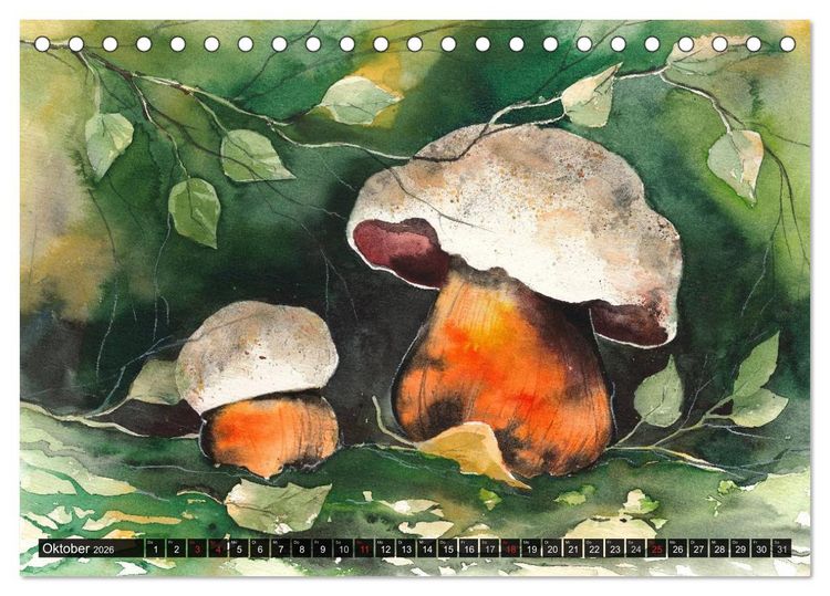 Produktbild: Pilze in Aquarell (Tischkalender 2026 DIN A5 quer), CALVENDO Monatskalender