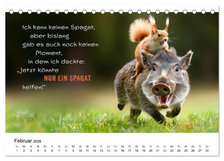 Produktbild: Tierische Klugschei&szlig;er (Tischkalender 2026 DIN A5 quer), CALVENDO Monatskalender