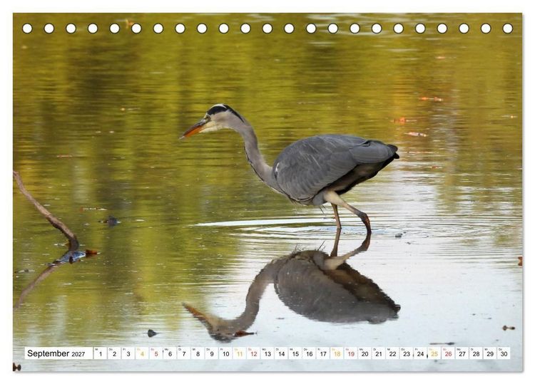 Produktbild: 12 Monate Natur (Tischkalender 2027 DIN A5 quer), CALVENDO Monatskalender