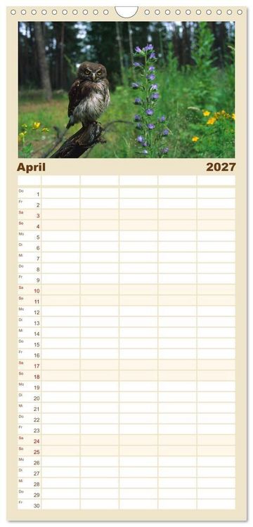 Produktbild: Familienplaner 2027 - Heimische Eulen und Greife mit 5 Spalten (Wandkalender, 21 x 45 cm) CALVENDO