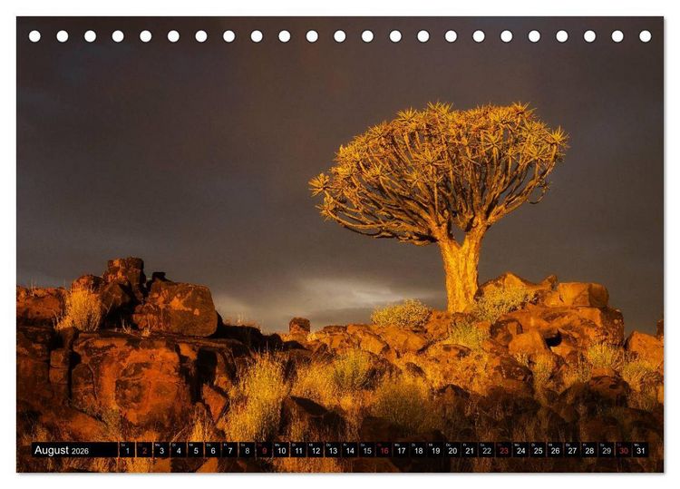 Produktbild: Afrikas B&auml;ume (Tischkalender 2026 DIN A5 quer), CALVENDO Monatskalender