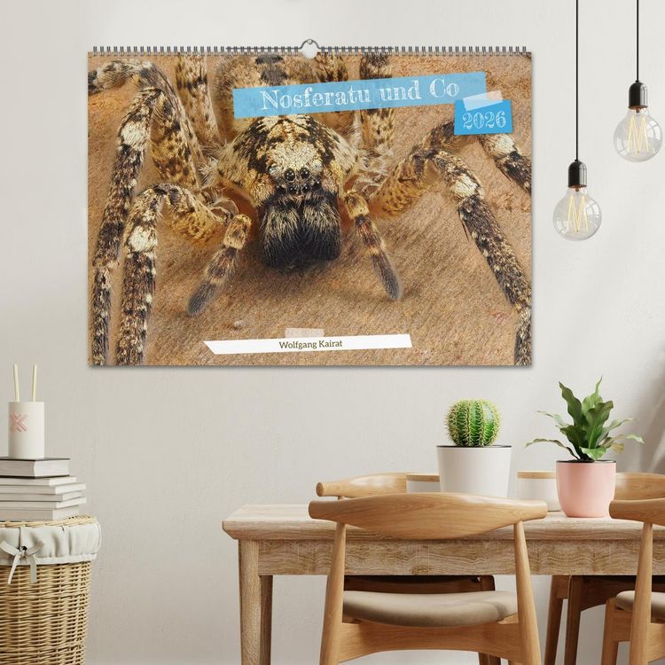 Produktbild: Nosferatu und Co. (Wandkalender 2026 DIN A2 quer), CALVENDO Monatskalender