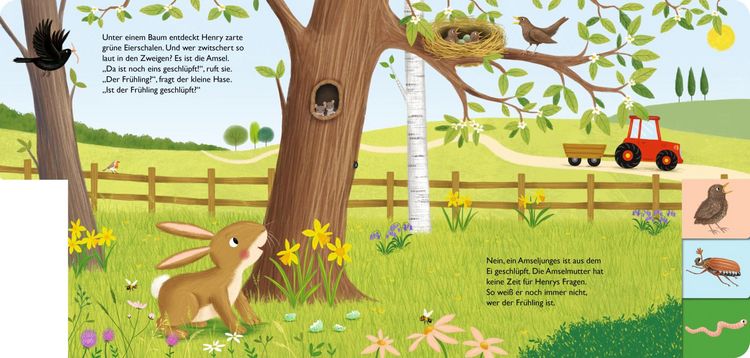 Produktbild: Mein erstes Jahreszeitenbuch: Henry, der kleine Hase