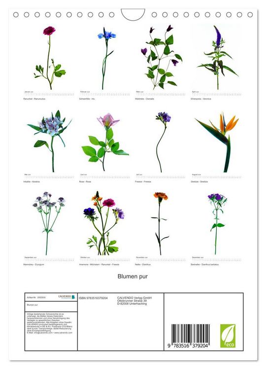 Produktbild: Blumen pur (Wandkalender 2026 DIN A4 hoch), CALVENDO Monatskalender