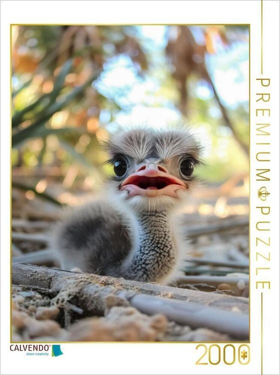 Produktbild: CALVENDO Puzzle Der erschrockene Strauss | 2000 Teile Lege-Gr&ouml;&szlig;e 90x67cm Foto-Puzzle f&uuml;r gl&uuml;ckliche Stunden