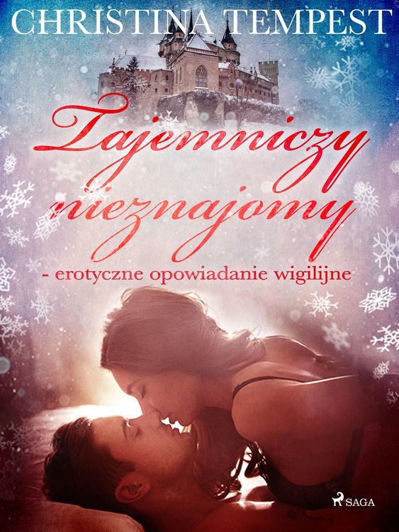 Produktbild: Tajemniczy nieznajomy - erotyczne opowiadanie wigilijne