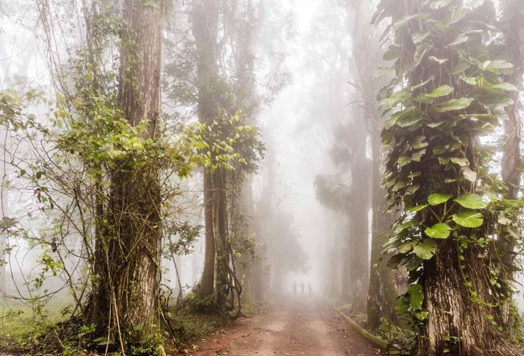 Produktbild: 150 Gardens You Need to Visit Before You Die