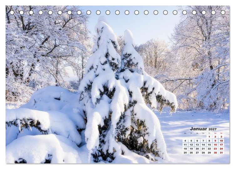 Produktbild: Waldspazierg&auml;nge: Entspannen - Kraft tanken - Besinnen auf sich selbst (Tischkalender 2027 DIN A5 quer), CALVENDO Monatskalender