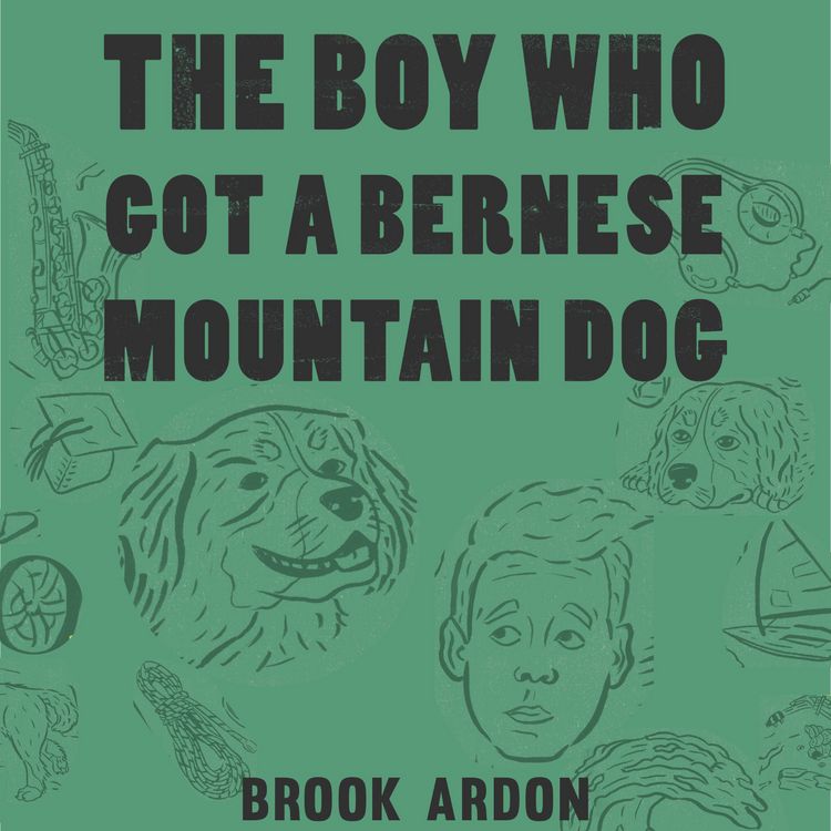 Produktbild: The Boy Who Got a Bernese Mountain Dog