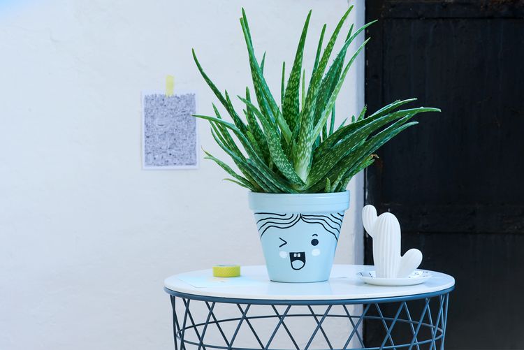 Produktbild: EDDING&reg; Paint Marker 750, gr&uuml;n
