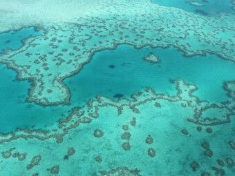 Produktbild: CALVENDO Puzzle Great Barrier Reef Queensland Australien | 1000 Teile Lege-Gr&ouml;&szlig;e 64x48cm Foto-Puzzle f&uuml;r gl&uuml;ckliche Stunden