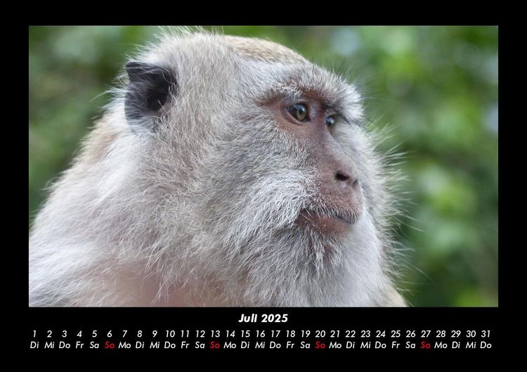 Produktbild: Bali 2025 Fotokalender DIN A3
