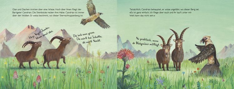 Produktbild: Gian und Giachen und der Sternschnuppenberg