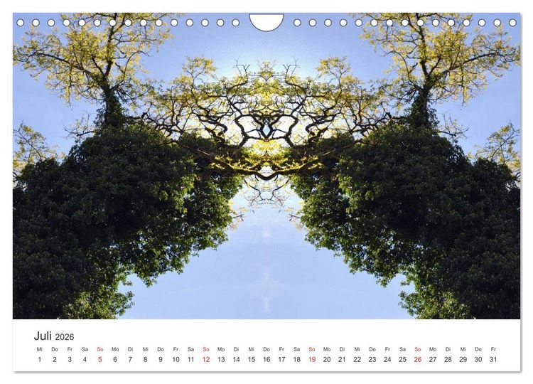 Produktbild: Spiegelwelten - Natur anders sehen (Wandkalender 2026 DIN A4 quer), CALVENDO Monatskalender