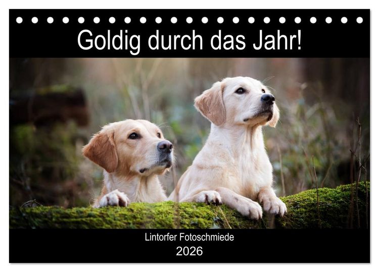 Produktbild: Goldig durch das Jahr! (Tischkalender 2026 DIN A5 quer), CALVENDO Monatskalender