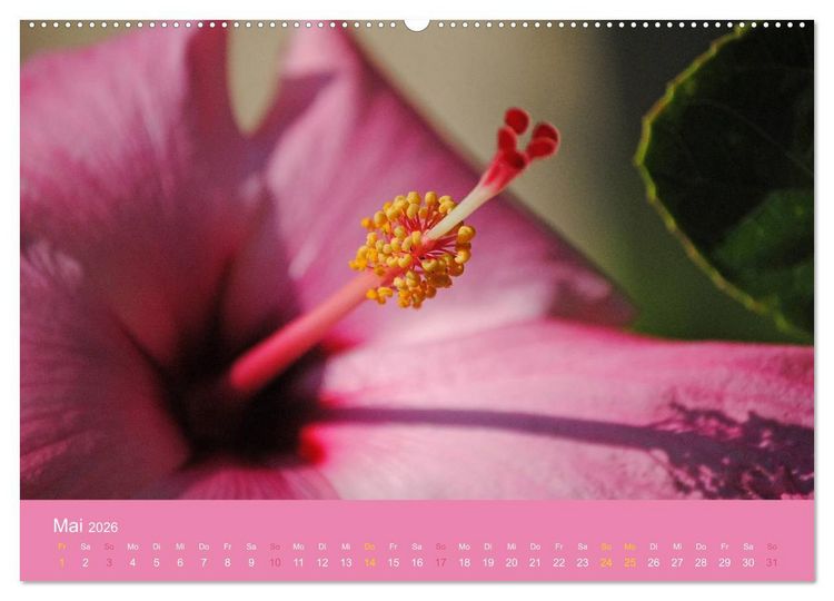 Produktbild: Hawaii Paradies auf Erden (hochwertiger Premium Wandkalender 2026 DIN A2 quer), Kunstdruck in Hochglanz